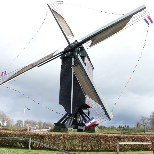 WhatsApp Image 2026-01-15 at 09.28.25 (1)